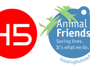 Radio 45 Partners with Animal Friends to Help Good Dawgs (and Other Pets) with New Music Single